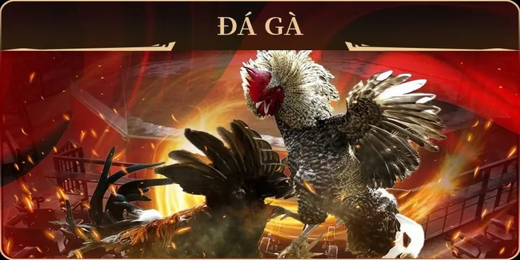 Bí Quyết Chơi Đá Gà GA28 CWin Thắng Đậm Mỗi Ngày 2025 2 Bí Quyết Chơi Đá Gà GA28 CWin Thắng Đậm Mỗi Ngày 2025