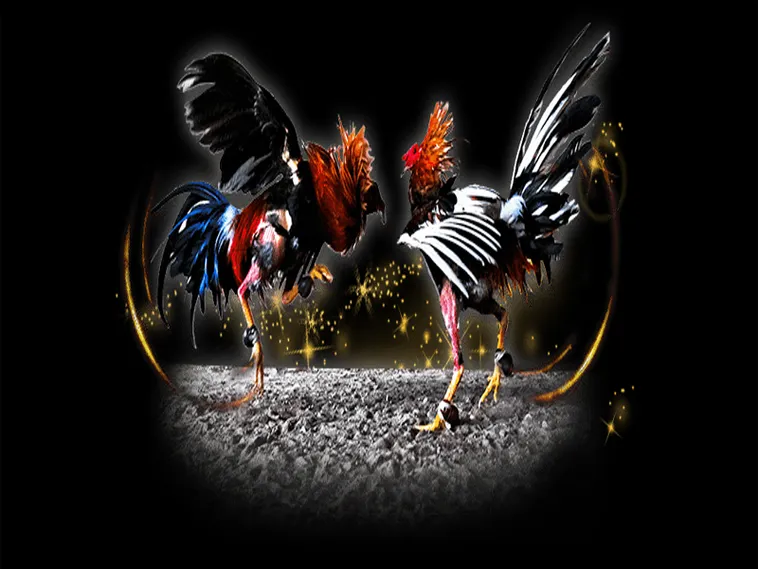 Hướng Dẫn Chơi Đá Gà Sabong CWin Thắng Lớn Ngay Hôm Nay 2 Hướng Dẫn Chơi Đá Gà Sabong CWin Thắng Lớn Ngay Hôm Nay